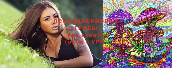 mix Лабытнанги
