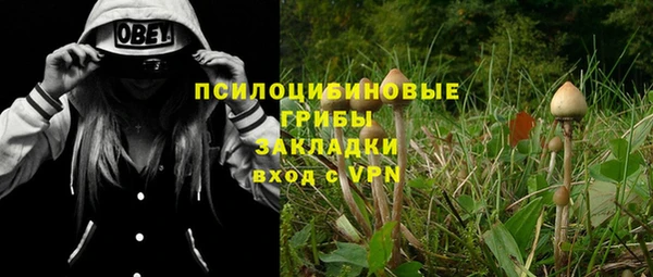 mix Лабытнанги
