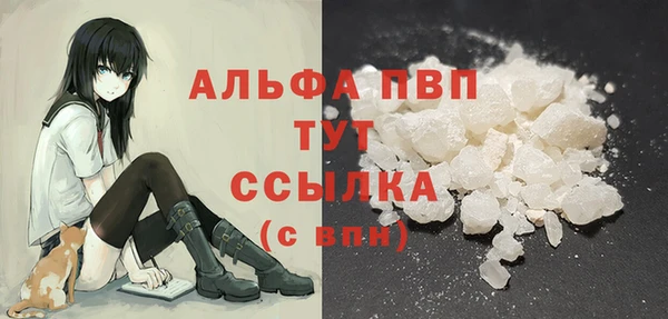 трава Няндома