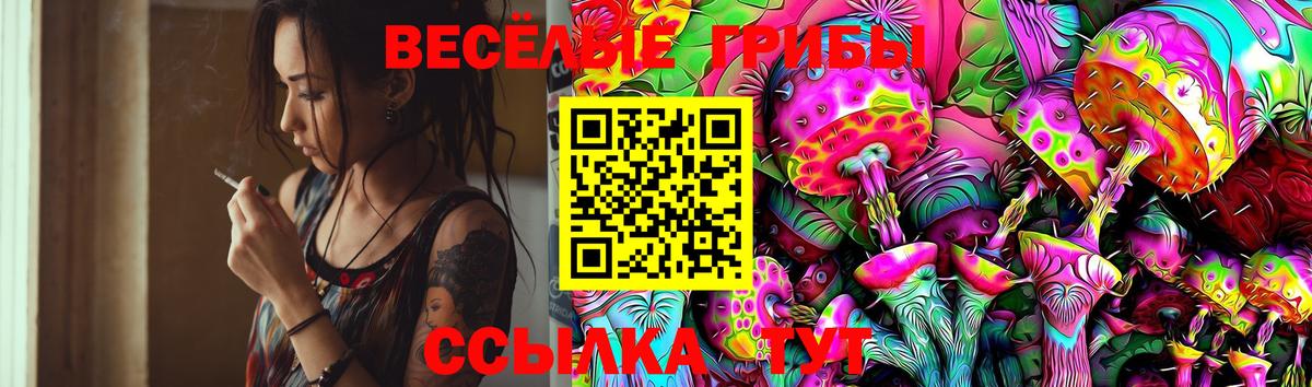 Псилоцибиновые грибы GOLDEN TEACHER Бердск