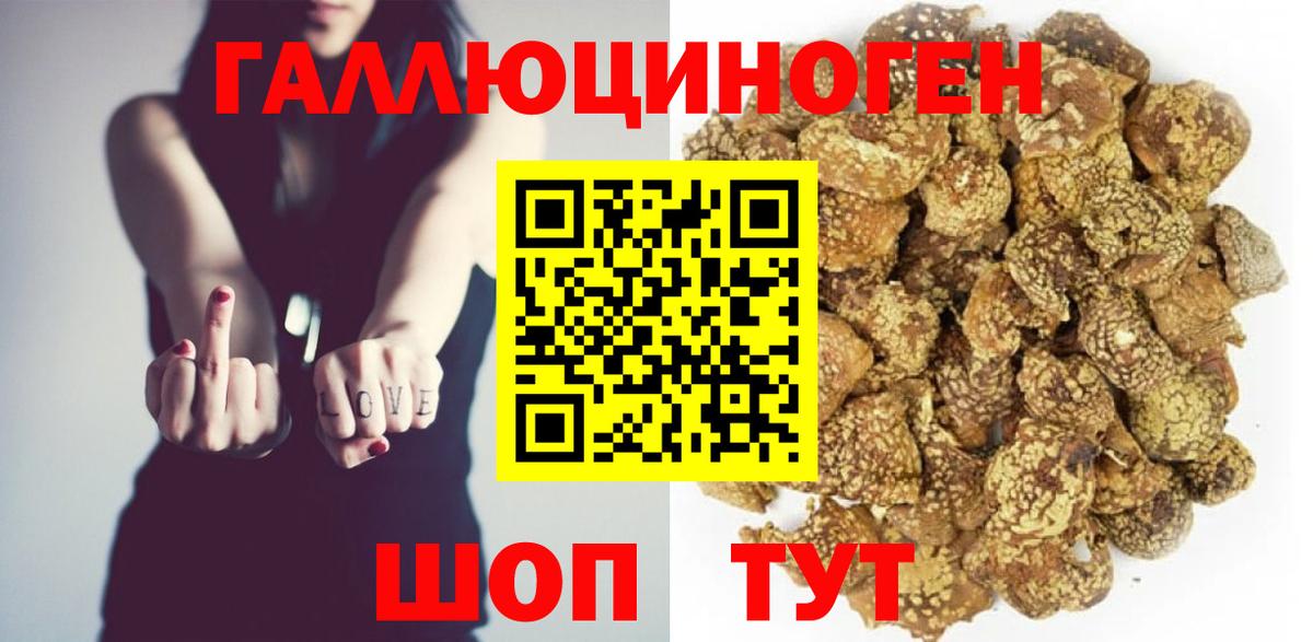 Галлюциногенные грибы MAGIC MUSHROOMS  Вход с VPN  Галлюциногенные грибы прущие грибы  Бердск 