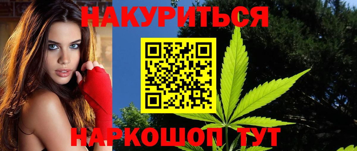 Канабис планчик  Вход с VPN  Бердск  Шишки марихуана White Widow 